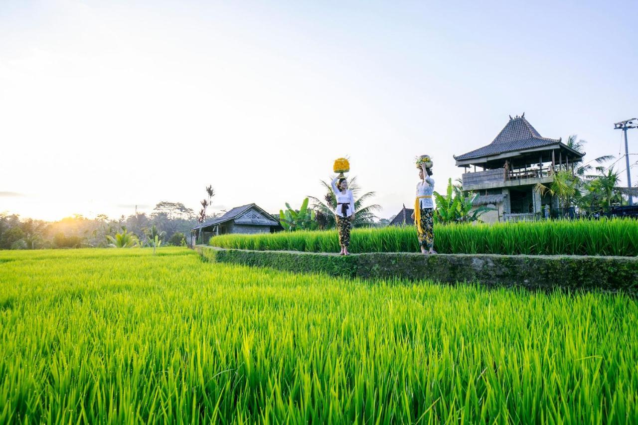 Umah Hoshi By Mahaputra Tegallalang (Bali) Exterior foto